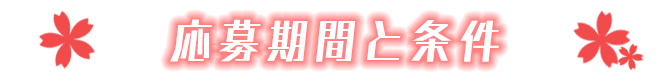応募期間